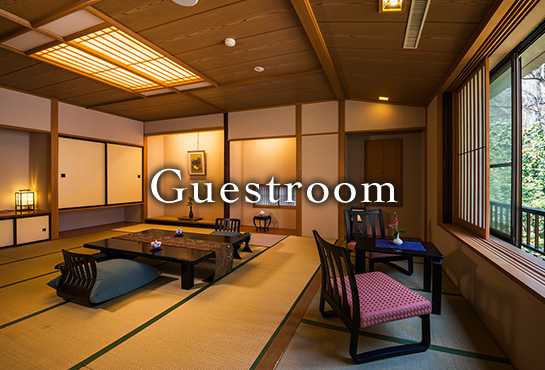 Guestroom